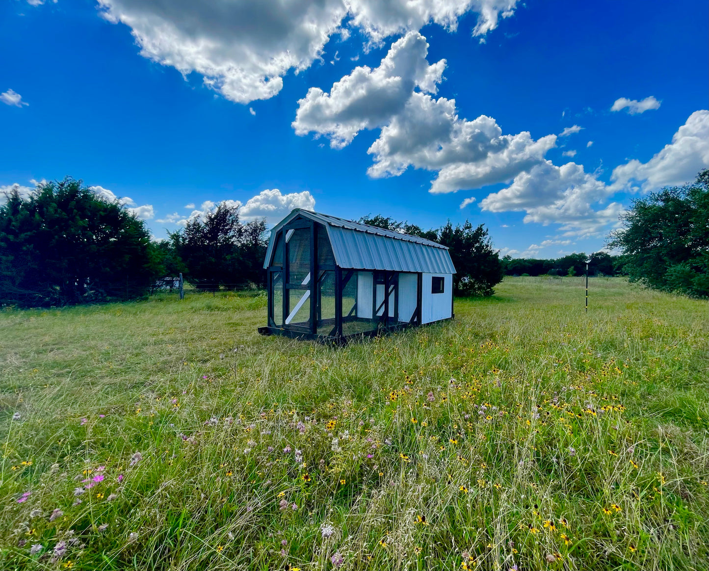Modern Farmhouse Chicken Coop – 6x6 Henhouse with 6x9 Run (Black & White)