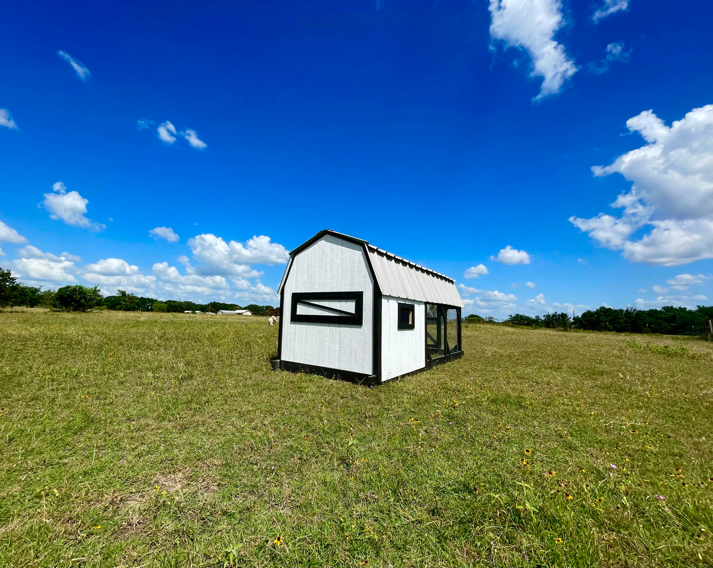 Modern Farmhouse Chicken Coop – 6x6 Henhouse with 6x9 Run (Black & White)