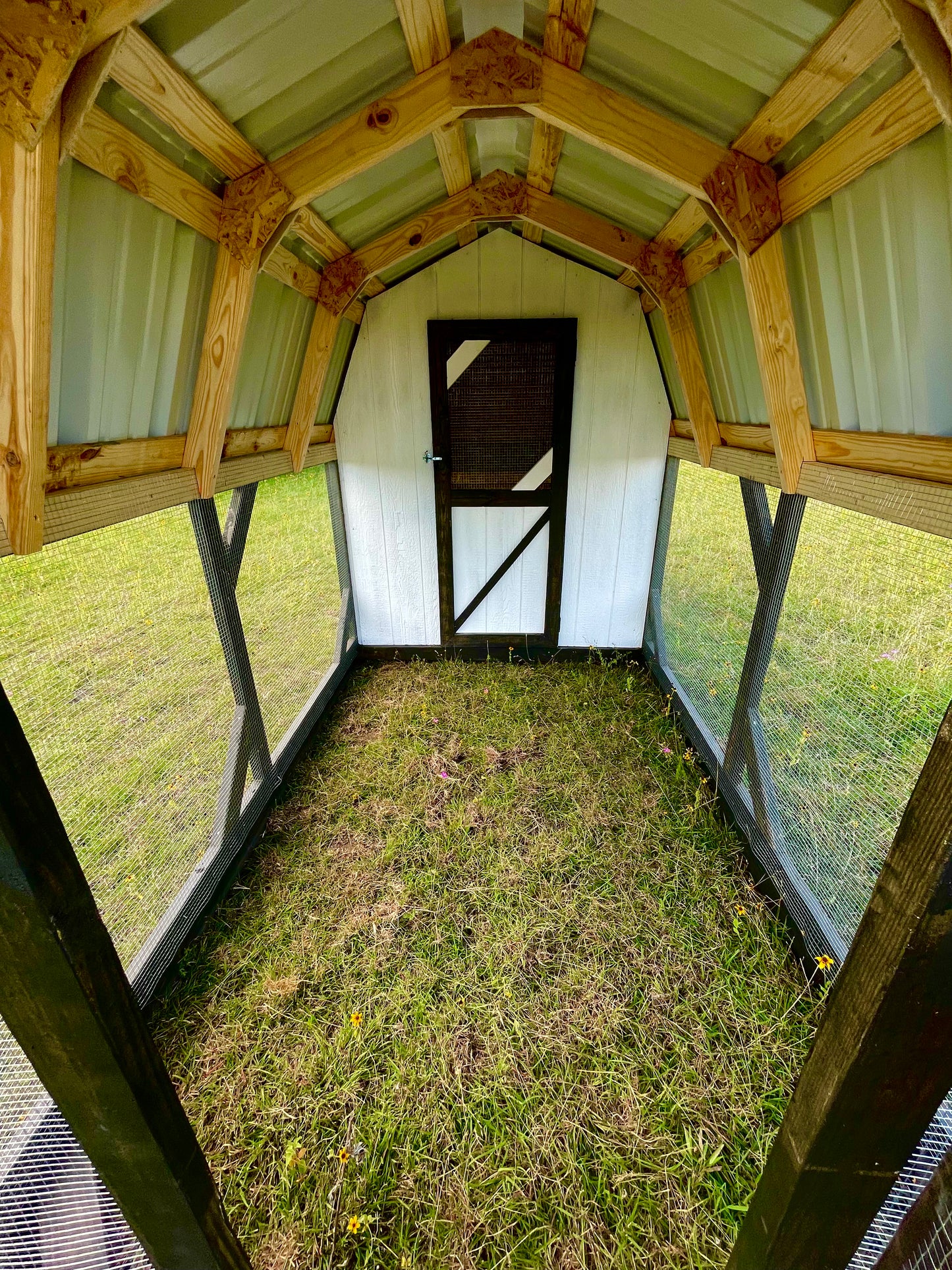 Modern Farmhouse Chicken Coop – 6x6 Henhouse with 6x9 Run (Black & White)