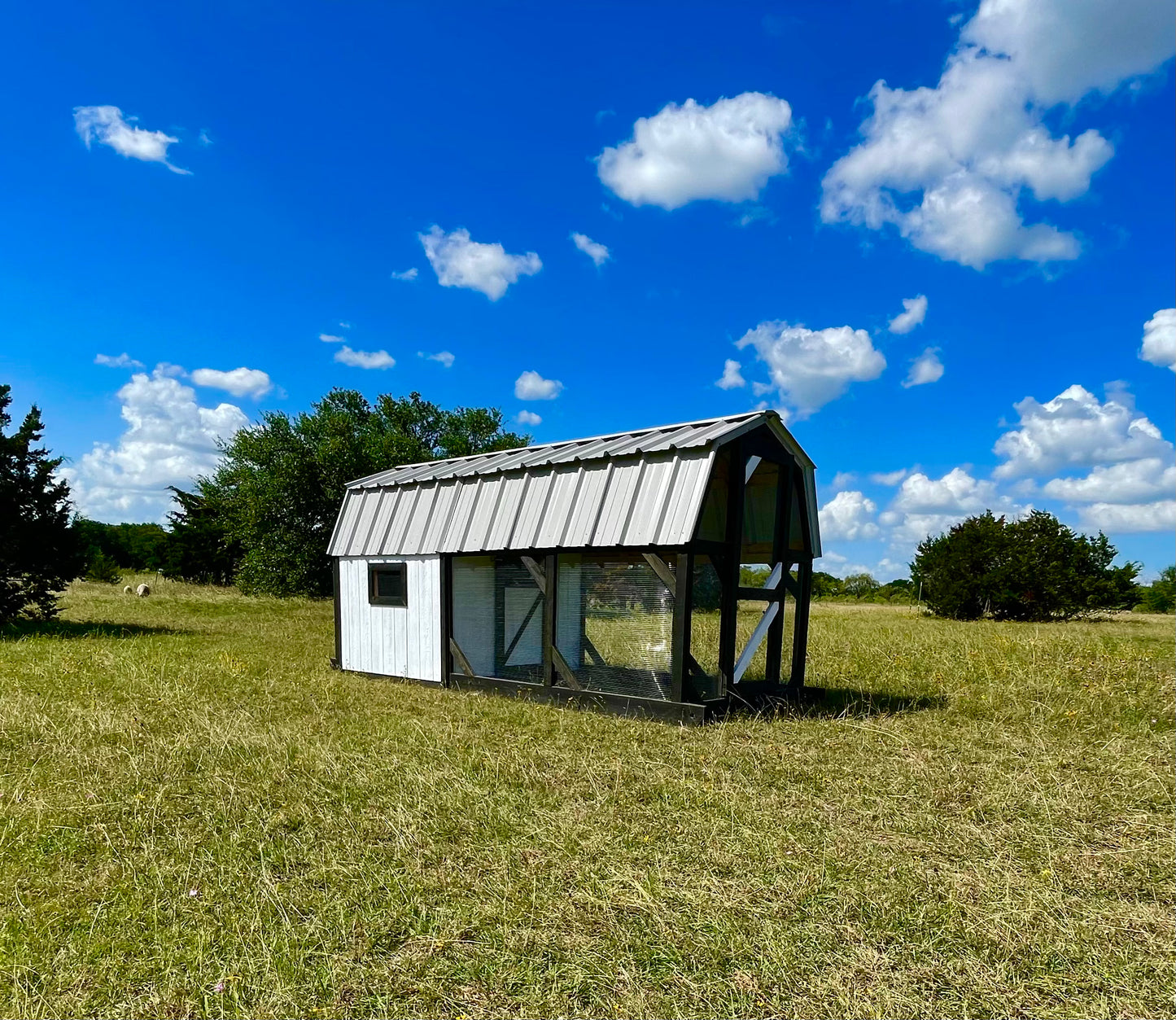 Modern Farmhouse Chicken Coop – 6x6 Henhouse with 6x9 Run (Black & White)