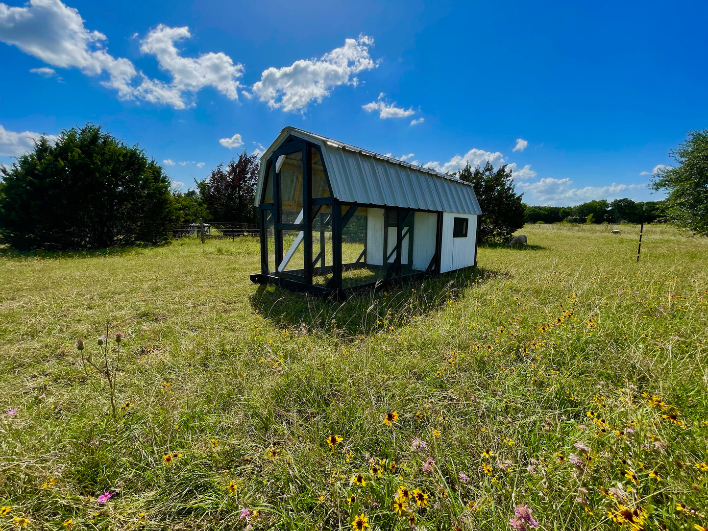 Modern Farmhouse Chicken Coop – 6x6 Henhouse with 6x9 Run (Black & White)