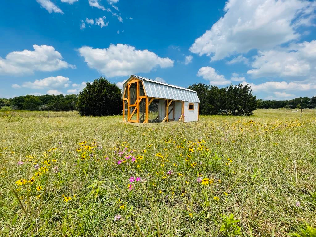 Hill Country Chicken Coop