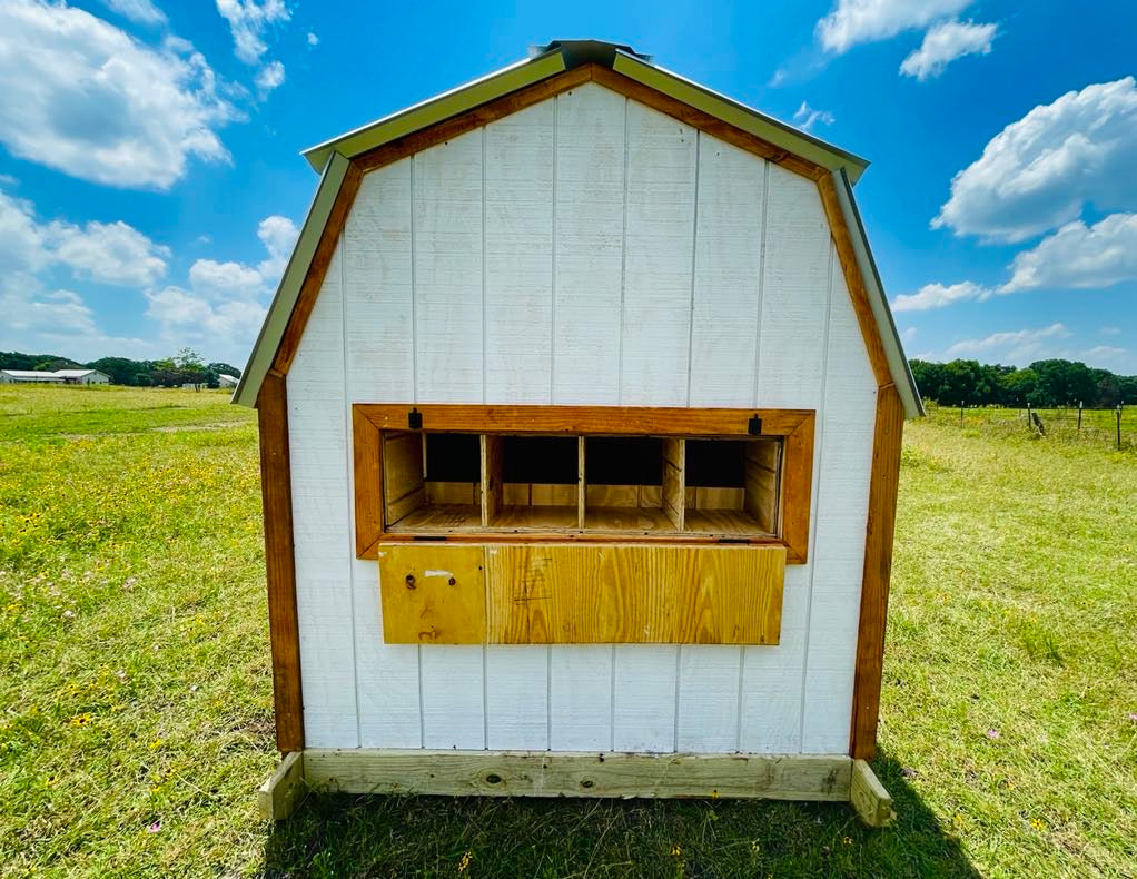Hill Country Chicken Coop