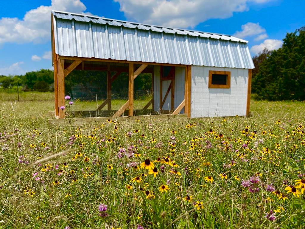 Hill Country Chicken Coop