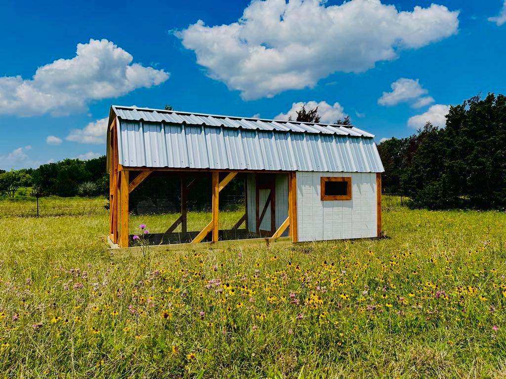 Hill Country Chicken Coop