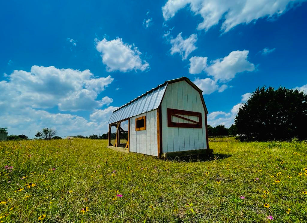 Hill Country Chicken Coop