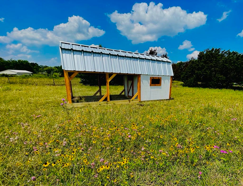 Hill Country Chicken Coop