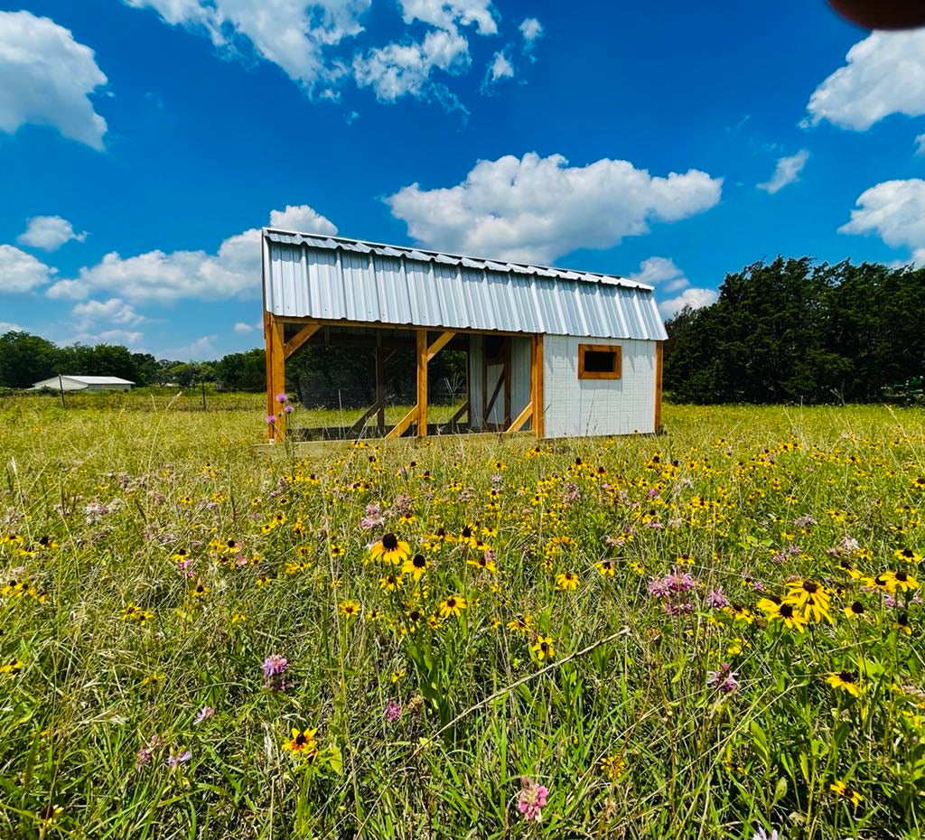 Hill Country Chicken Coop