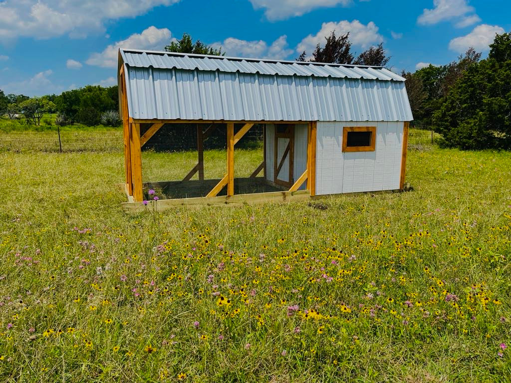 Hill Country Chicken Coop