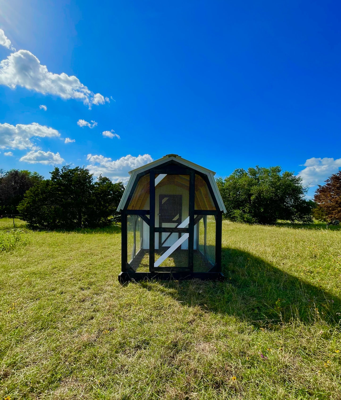 Modern Farmhouse Chicken Coop – 6x6 Henhouse with 6x9 Run (Black & White)