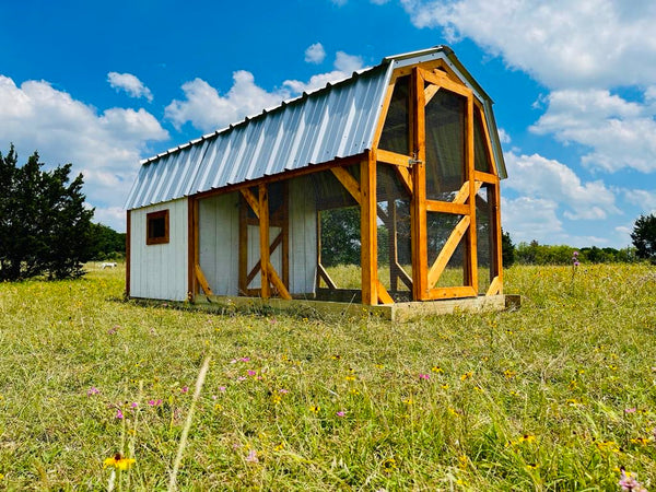 Hill Country Chicken Coop
