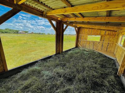 Looking out of a loafing shed past the stained front posts and knee braces