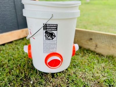 Auto feeder & waterer