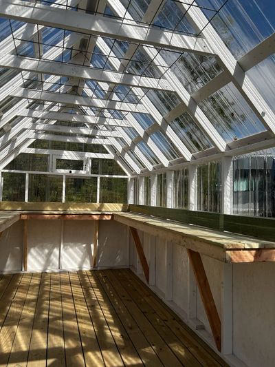 Sunlight through the clear roof panels and white rafters of a greenhouse, with trellis wire overhead