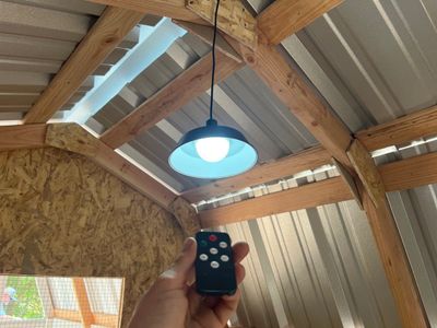 Solar hen house light