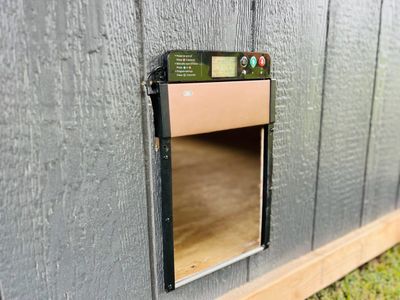 Auto solar chicken door