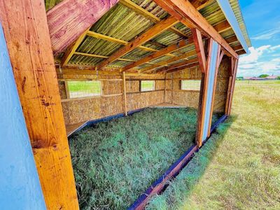 Inside a loafing shed: OSB-lined walls, cattle-panel windows and the roof framing