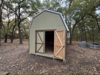 Green barn shed with one door open, among oak trees