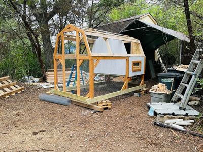 Raising the frame: The run's timber frame goes up first.