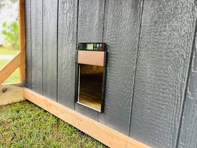 Automatic chicken door: Opens at sunrise and closes at sunset.