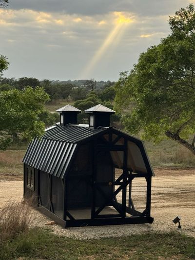 Custom all-black coop: Twin vented cupolas for airflow in the Texas heat.